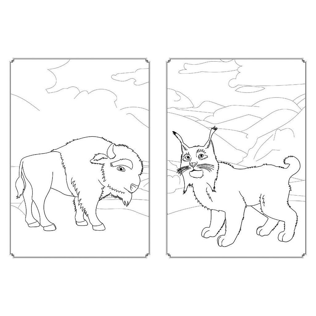 Книга Мавка. Магія кольору. Всесвіт Мавки Ранок (9789667513252)