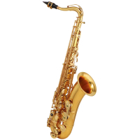 Maxtone SXC-29T/L saxophone