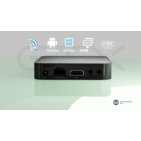 Медіаплеєр Geotex GTX-R3i Mini (9818)
