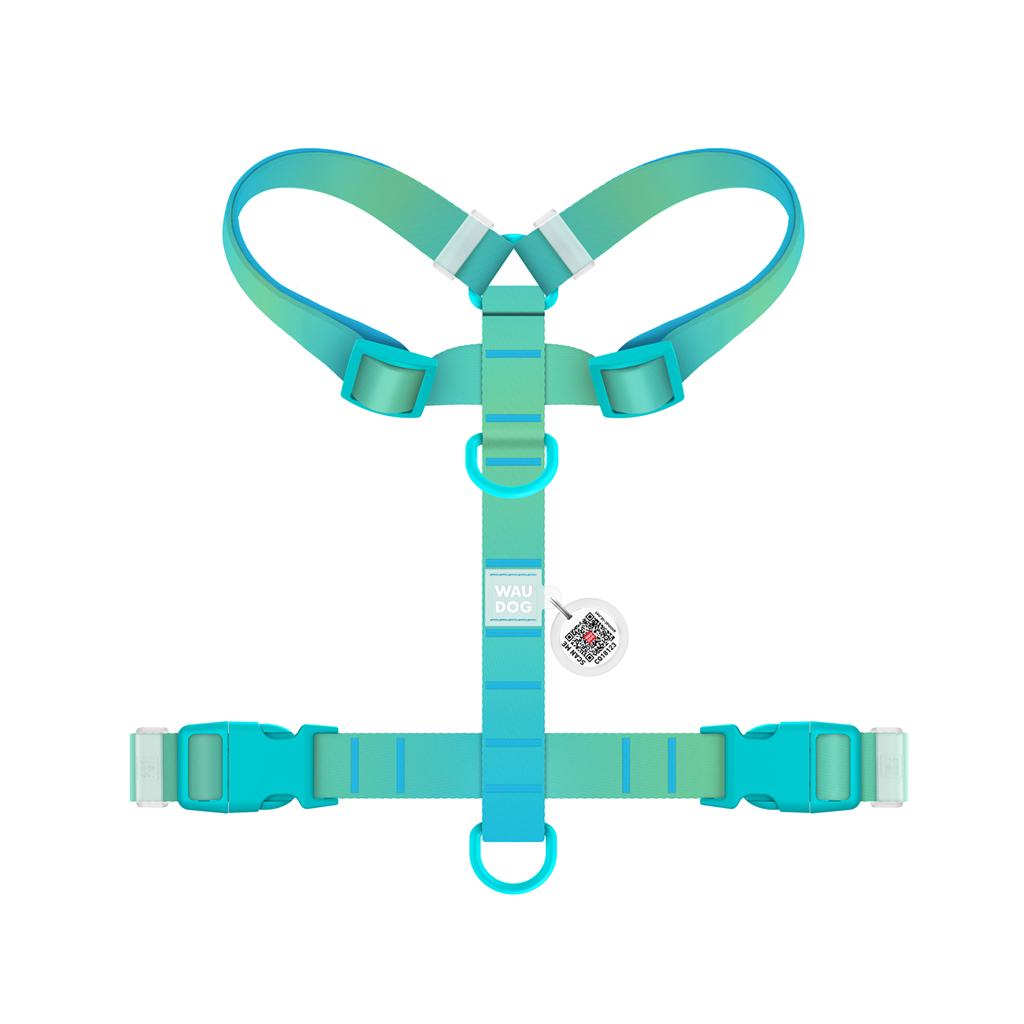 Шлея для собак WAUDOG Nylon Recycled анатомічна H-подібна з QR-паспортом, пластиковий фастекс, XL блакитна (47542)