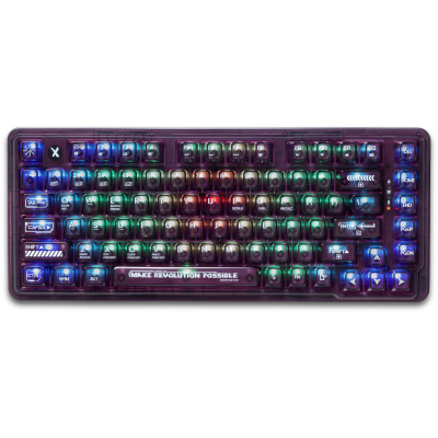 Клавіатура Thunderobot K75 TKL RGB Tri-mode Violet Mist Moon Switch Purple (6932066305550)