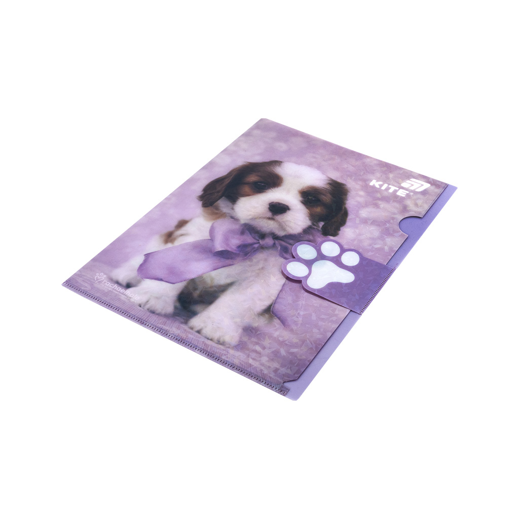 Папка - куточок Kite із клапаном A4 Rachael Hale (R25-248)