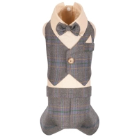 Costume for animals Pet Fashion Happy S (4823082444823)
