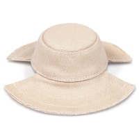 Cap for animals Pet Fashion Gold S (4823082446049)