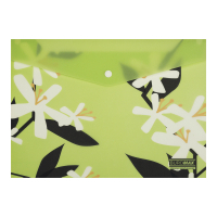 Папка - конверт Buromax А4 на кнопці, PLUMERIA ARABESKI, напівпрозора, салатова (BM.3943-15)