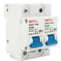 Автоматичний вимикач Voltronic YT-DZ47-63-2P-100A