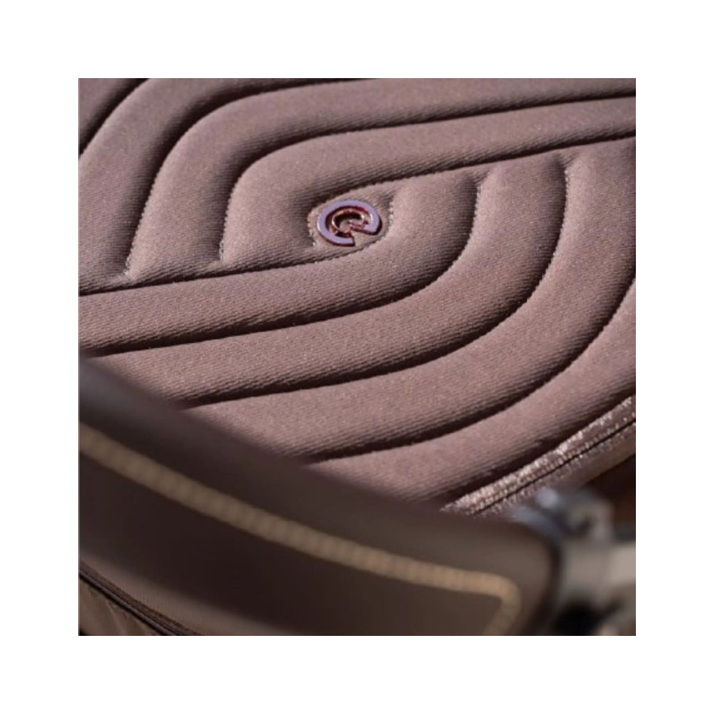 Коляска Espiro 2 в 1 Miloo 2025 209 Charming Touch (5905683801089)