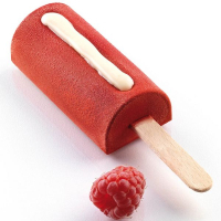 Mold for ice cream Silikomart series "Gelateria" Mini Chick 2 molds + 2 trays + 100 sticks (GEL05M)