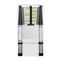 Voltronic ladder 3.0 m, aluminum alloy, up to 150 kg, width 48 cm (YT43345)