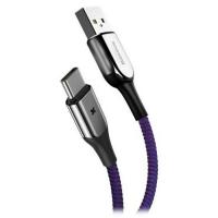 Дата кабель USB 2.0 AM to Type-C 1.0m Purple Baseus (CATXD-A05)