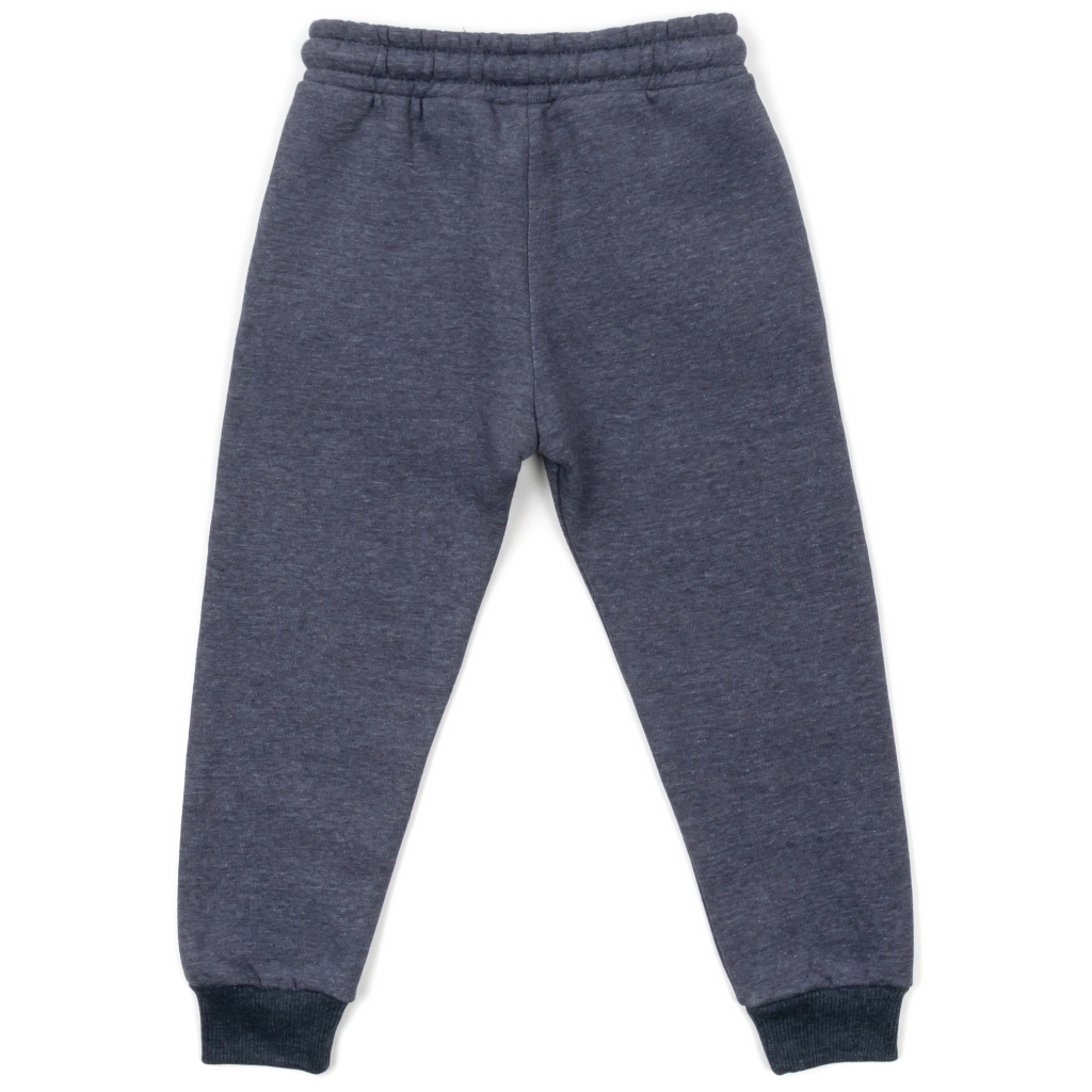 Штани дитячі Cloise флісові (CL0155013-104B-gray)