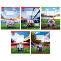 Notebook September 1 1В Win 48 sheets line (767120)