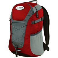 Tourist backpack Terra Incognita Link 16 red / gray (4823081503965)