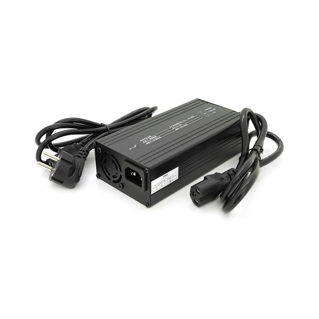 Мережевий зарядний пристрій для АКБ Voltronic LiFePO4 24V(29.2V), 8S, 10A (YT-2410-8S-C13)