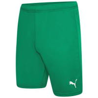 Shorts Puma teamRISE Short 704942-05 green M (4063699209839)