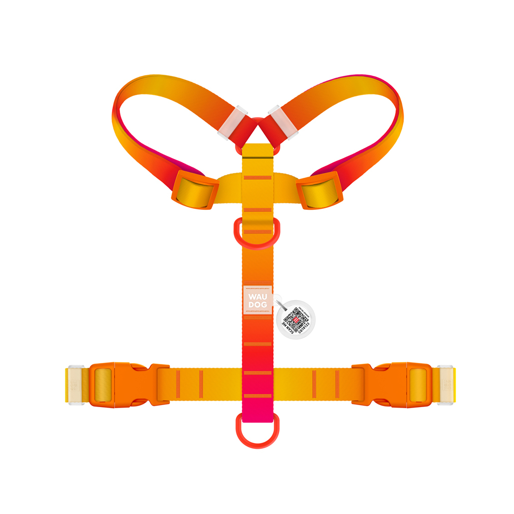 Шлея для собак WAUDOG Nylon Recycled анатомічна H-подібна з QR-паспортом, пластиковий фастекс, М помаранчева (47524)