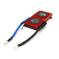 BMS controller DaLy LiFePO4 48V 16S 250A (SMDL16S-250A)