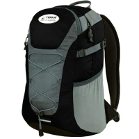 Tourist backpack Terra Incognita Link 16 black / gray (4823081503941)