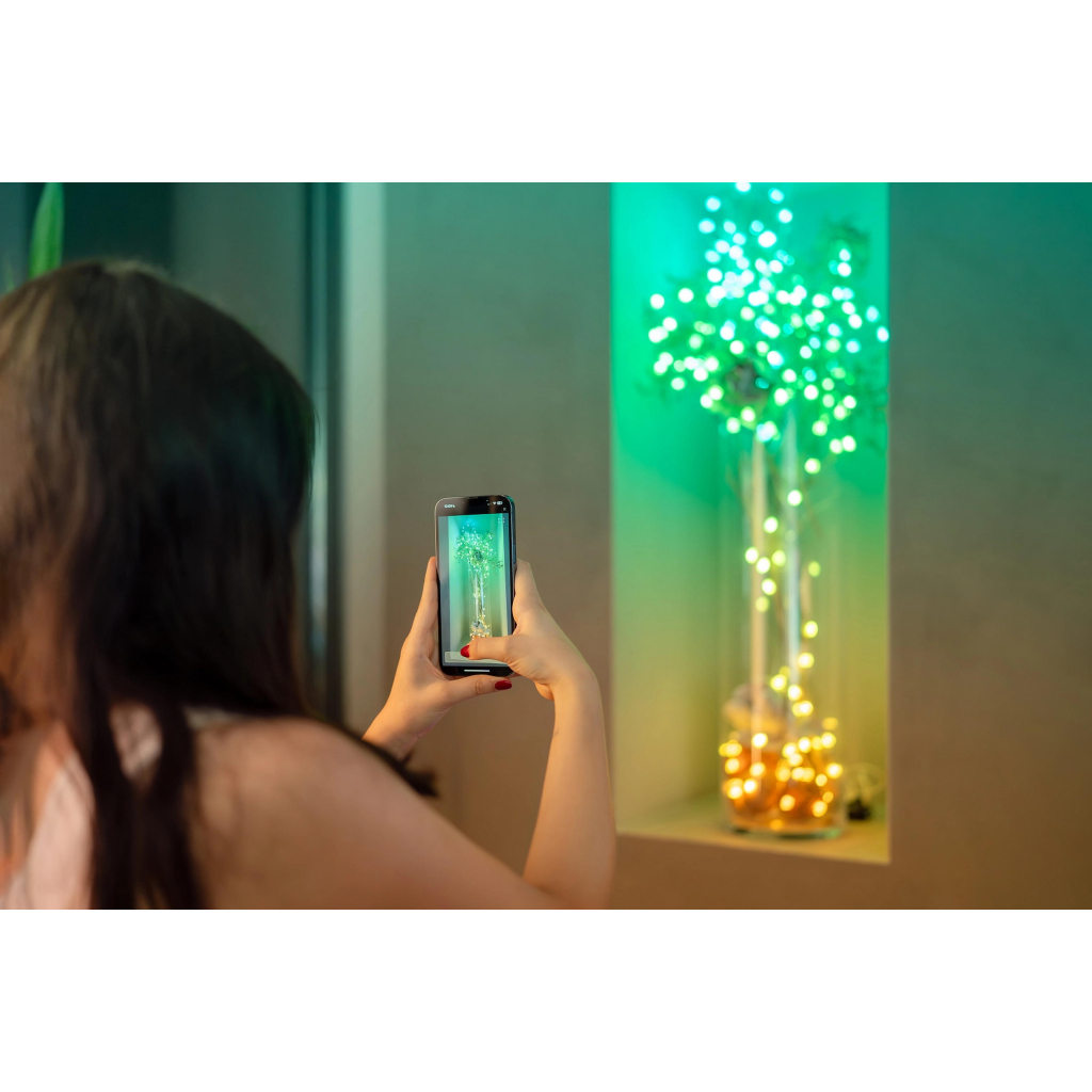 Гірлянда Twinkly Smart LED Strings USB 100 Candle-shaped RGB LEDs, Green Wire, USB-C, 6м (TWKC100RGB-G)