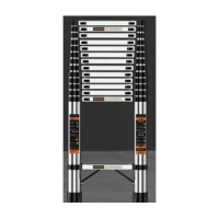 Voltronic ladder 3.1 m, stainless steel, up to 150 kg, width 46 cm (YT43351)