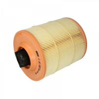 Mann C16142/2 car air filter