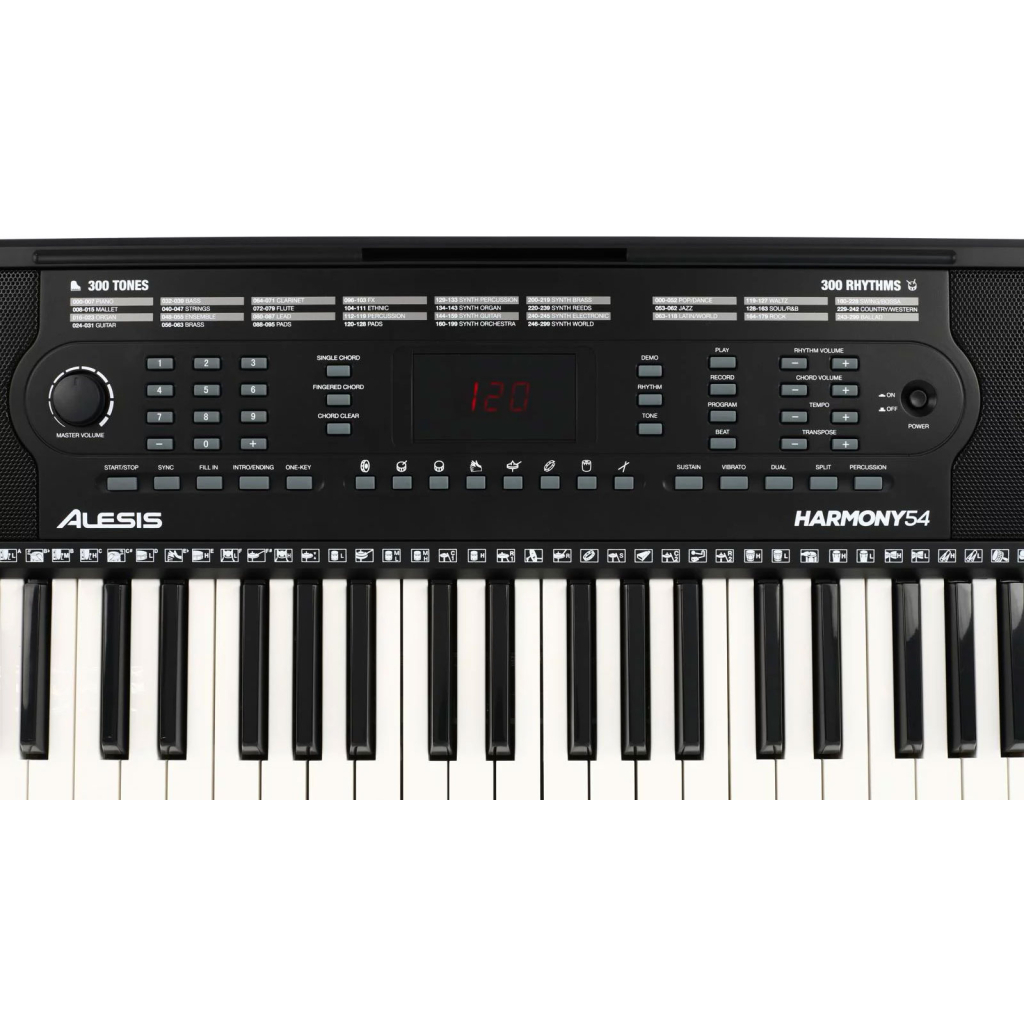 Синтезатор Alesis Harmony 54