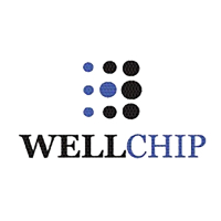 Чип для картриджа HP LJ CE505X/CF280X/CC364X, Canon 725/728, J35XU Wellchip (CHPJ35XU)
