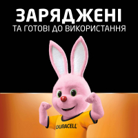 Акумулятор Duracell AA HR6 1300mAh * 2 (5000394039186 / 81367175)