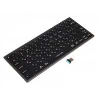 Клавіатура A4Tech FBX51C Wireless/Bluetooth Grey (4711421969765)