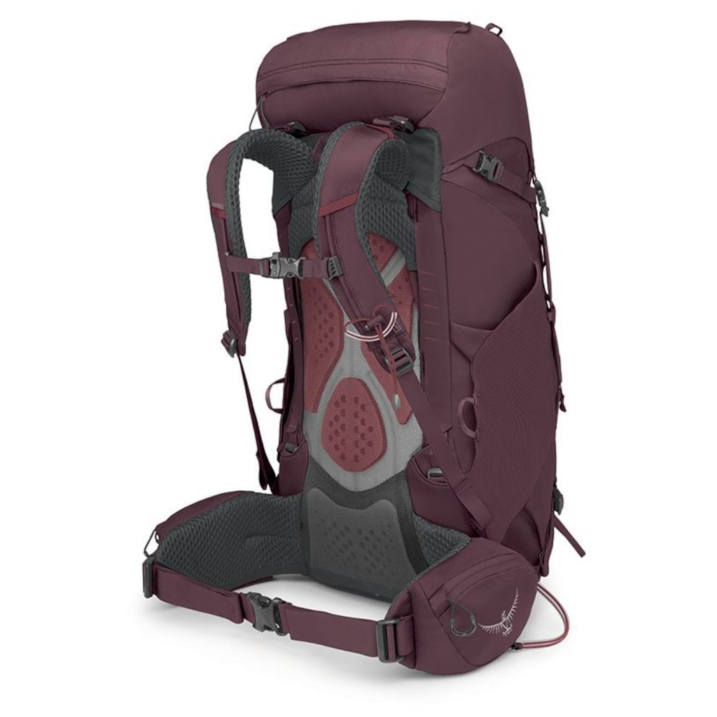 Рюкзак туристичний Osprey Kyte 38 elderberry purple - WM/L - фіолетовий (009.3695)