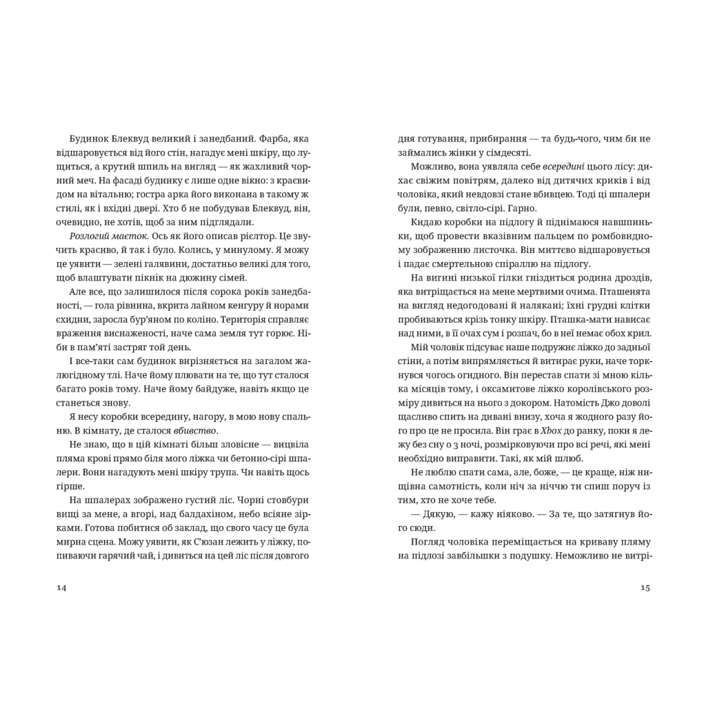 Книга Незнайомець нагорі - Ліза М. Матлін Видавництво Старого Лева (9789664484173)