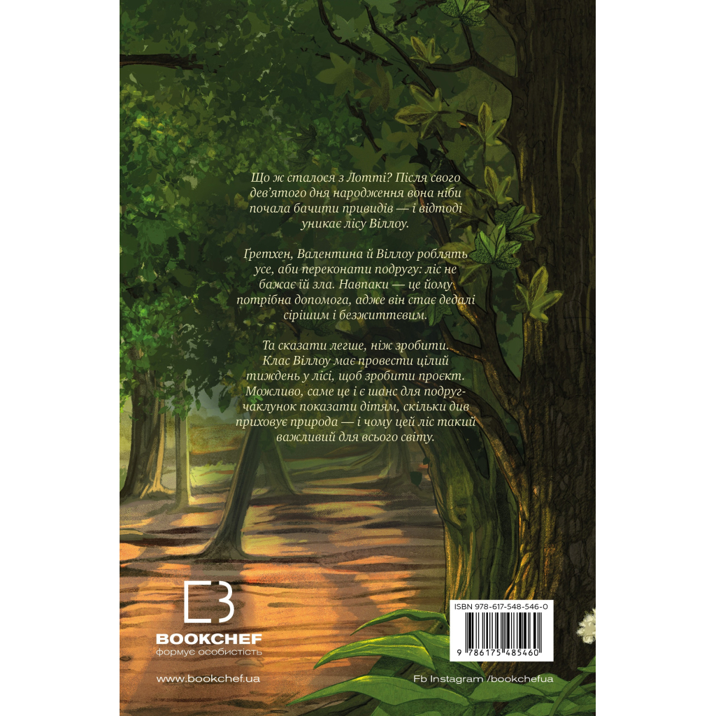 Книга Дівчинка на ім'я Віллоу. Книга 3: Шелест крил - Забіне Больман BookChef (9786175485460)