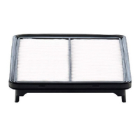 Mann C29019 car air filter