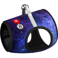 Dog harness WAUDOG Clothes with QR-passport "NASA21" S2 (2906-0148)