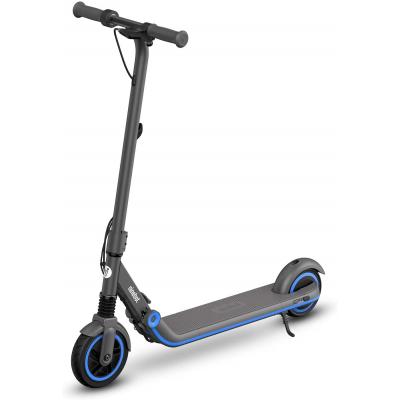 Електросамокат Segway Ninebot E10 (AA.00.0002.32)