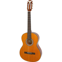 Гітара класична Epiphone PRO-1 Classic 3/4 (228188)