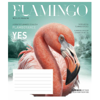 Notebook Schoolboy Fauna magazine 12 sheets cell (012-3428K)