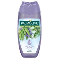 Shower gel Palmolive Naturel Carpathian herbs with sage 250 ml (8693495046305)
