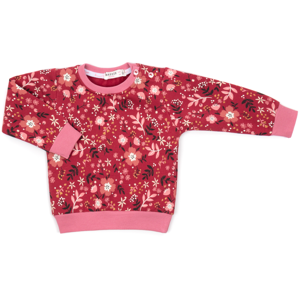 Набір дитячого одягу Breeze на флісі (17306-80G-red)