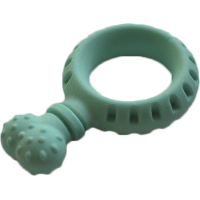 Dog toy AnimAll GrizZzly pendant 14x9x2.95 cm (mint) (6914068019581)