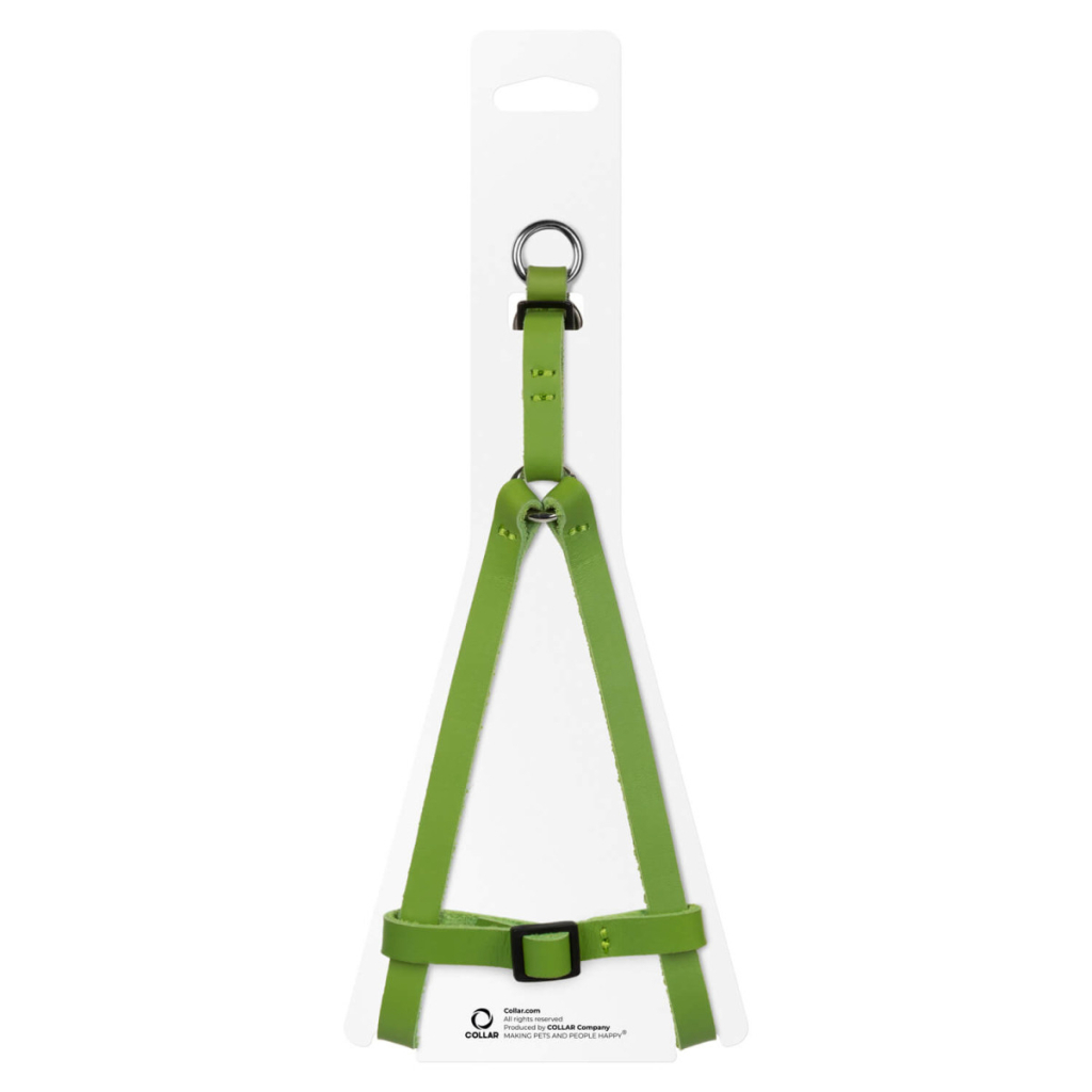 Шлея для котів WAUDOG Classic з QR паспортом XS Ш 10 мм В=С 28-40 см салатова (60105)
