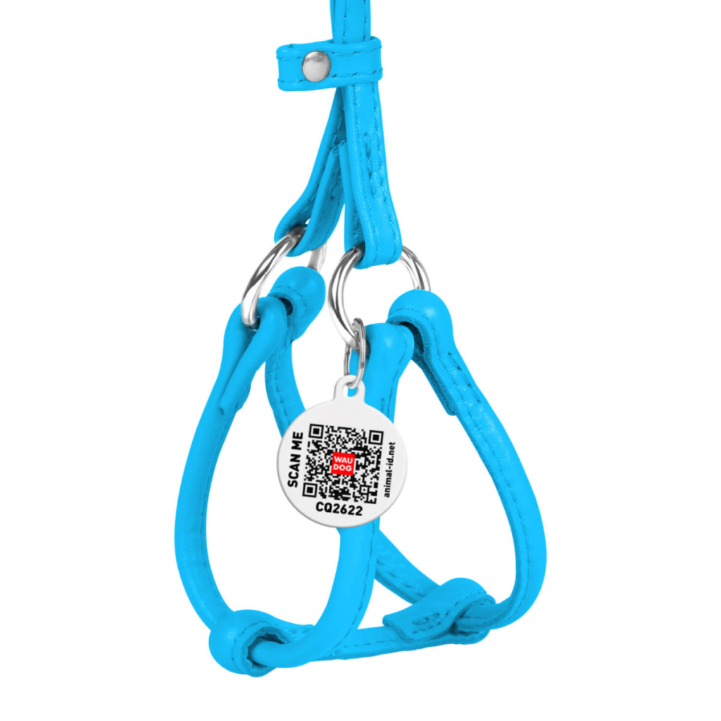 Шлея для собак WAUDOG Glamour з повідцем кругла Д 6 мм А 26-46 см В 30-50 см блакитна (34012)