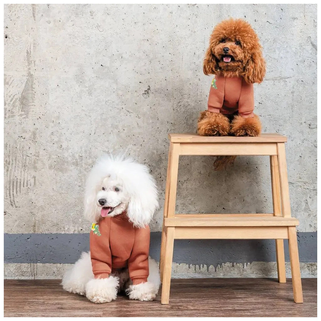Толстовка для тварин Pet Fashion Miley М (4823082434732)