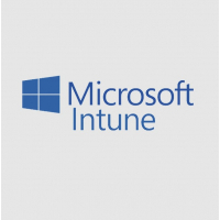 Офісний додаток Microsoft Intune Storage Add-on P1Y Annual License (CFQ7TTC0LCH4_0006_P1Y_A)