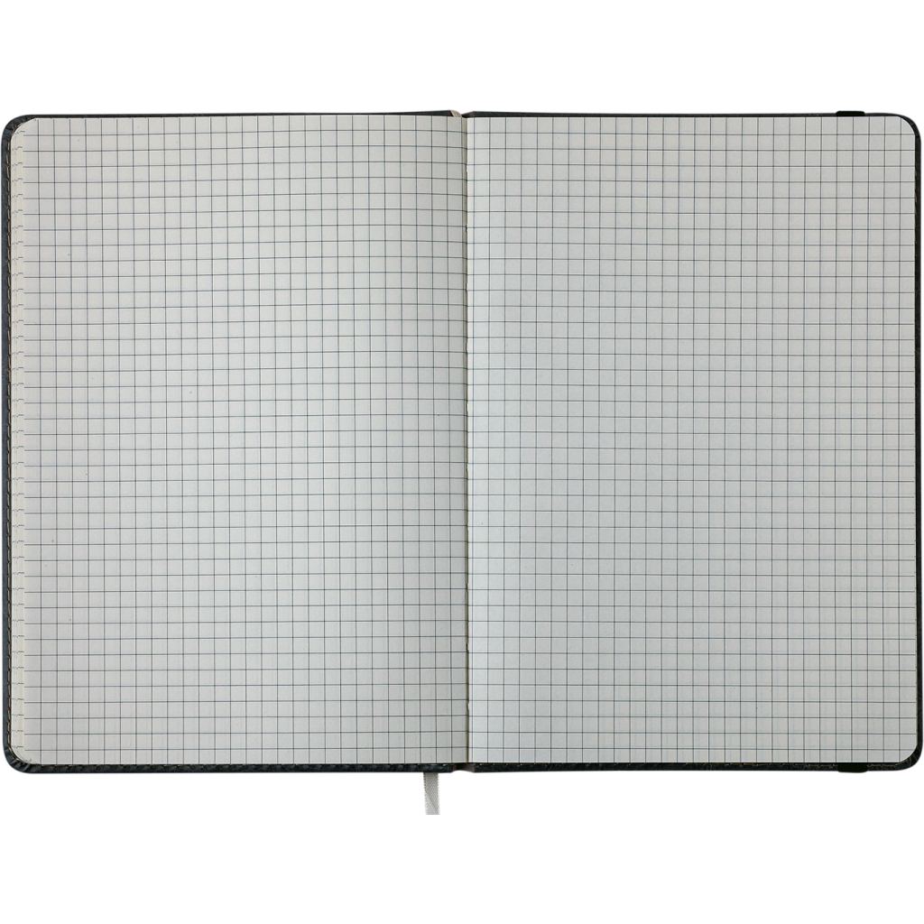 Книга записна Buromax Primo 125x195 мм 96 аркушів в клітинку обкладинка зі штучної шкіри Коричнева (BM.291161-25)