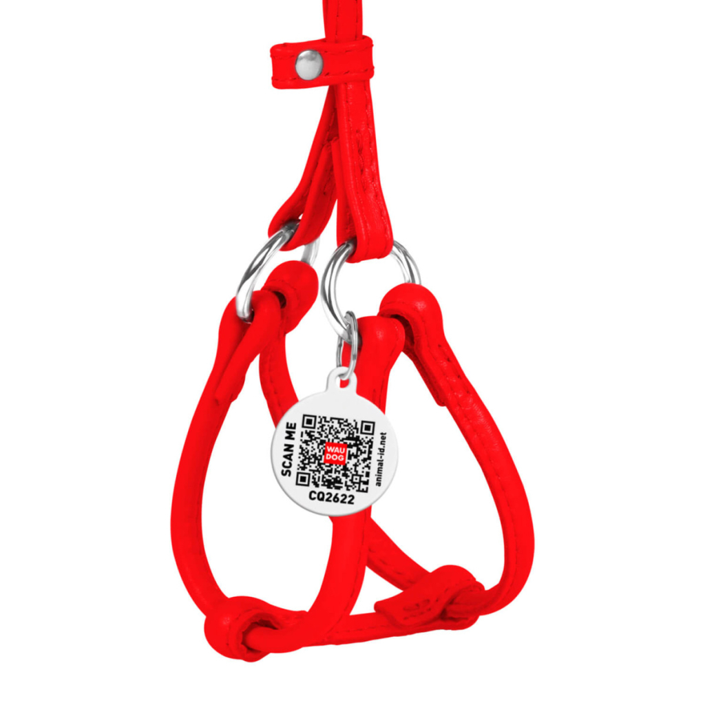 Шлея для собак WAUDOG Glamour з повідцем кругла Д 6 мм А 26-46 см В 30-50 см червона (34013)