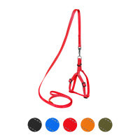 Harness for dogs Dog Extreme made of nylon adjustable with leash W 15 mm H: 40-55 cm red (07033)