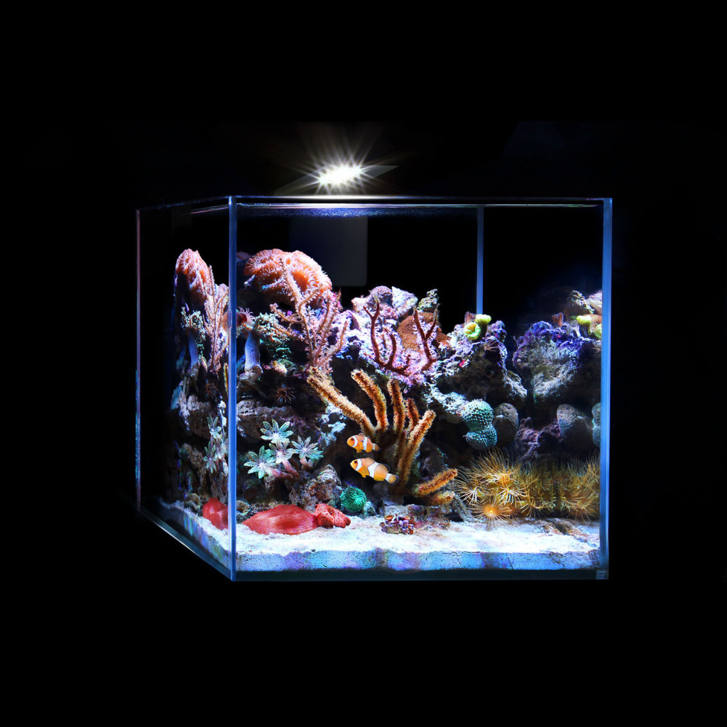 Акваріум Aqualighter набір Nano Marine Set 15 л (7143)