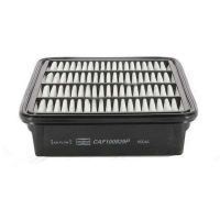 Champion CAF100829P car air filter