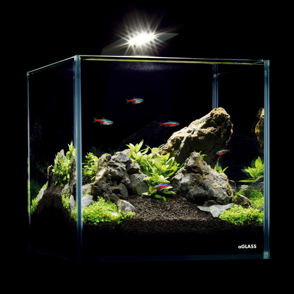 Акваріум Aqualighter набір NaGLASS Nano Set 220 мм 10 л (7142)